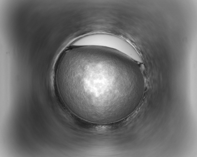 X0000095680152200802051259