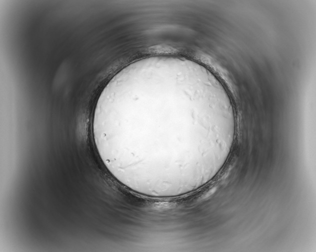 X0000095680153200802051259