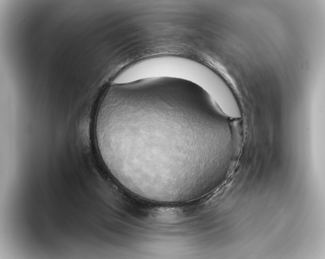 X0000095680154200802051259