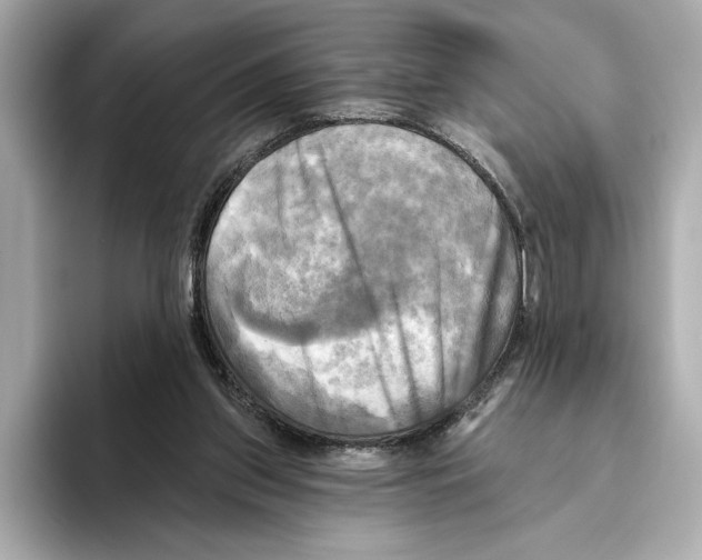 X0000095680157200802051259