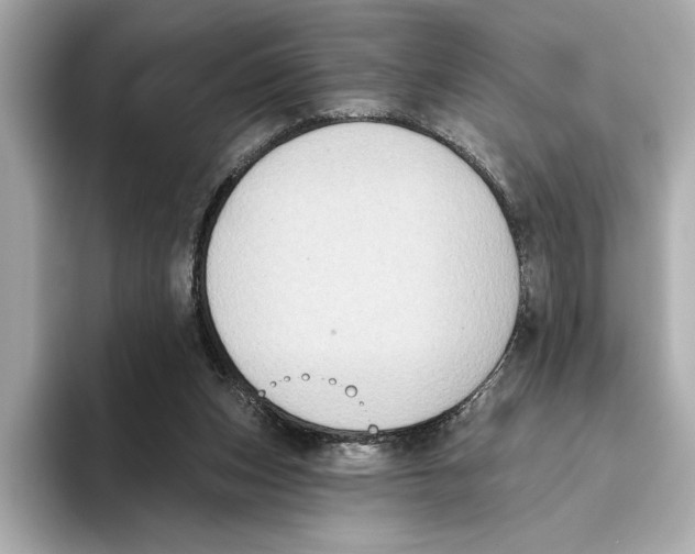 X0000095680159200802051259