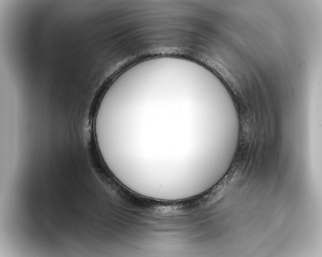 X0000095680160200802051259