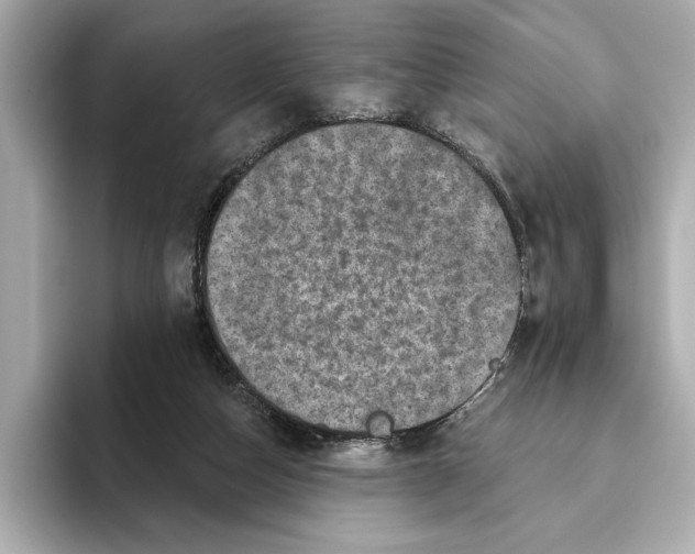 X0000095680162200802051259