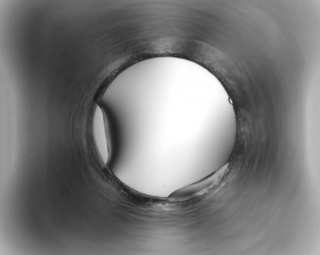 X0000095680164200802051259