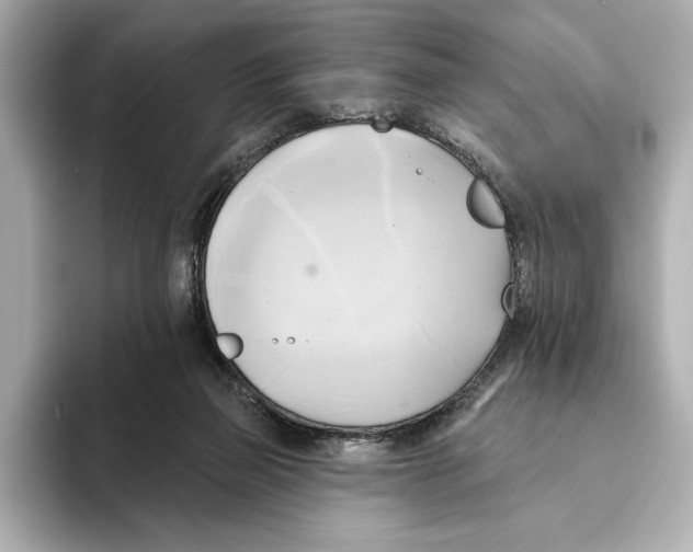 X0000095680165200802051259