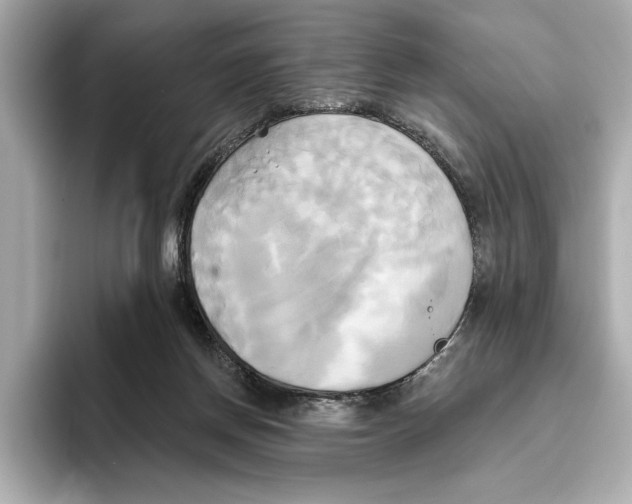 X0000095680166200802051259