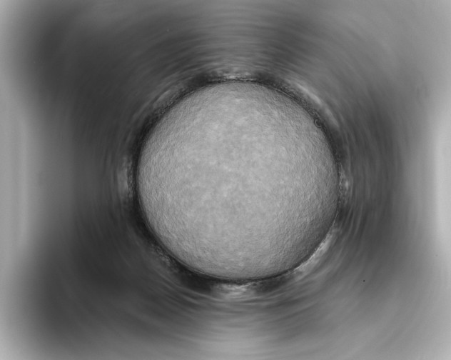 X0000095680170200802051259