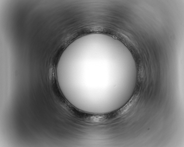 X0000095680172200802051259