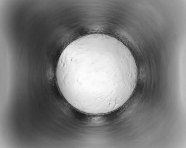 X0000095680173200802051259