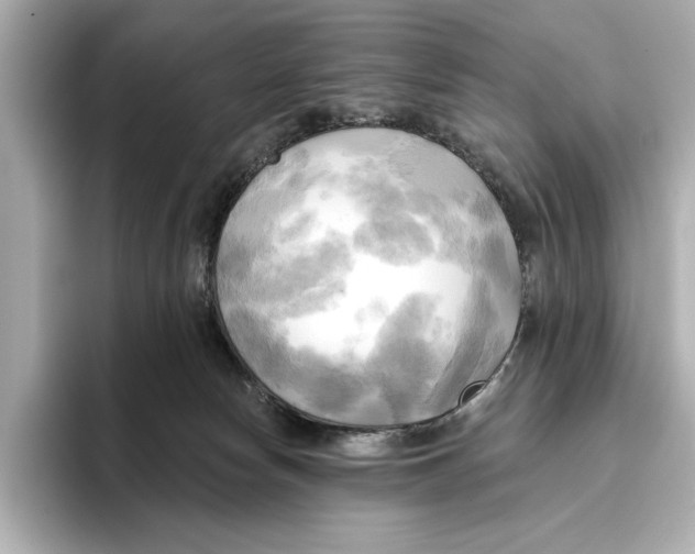 X0000095680178200802051259