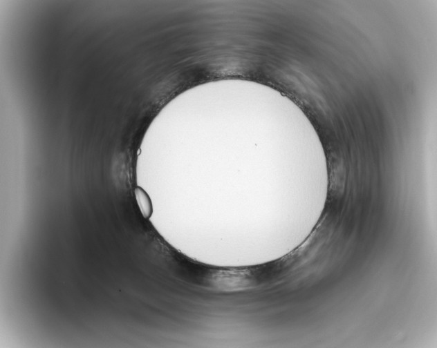 X0000095680179200802051259