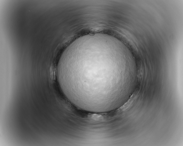 X0000095680180200802051259