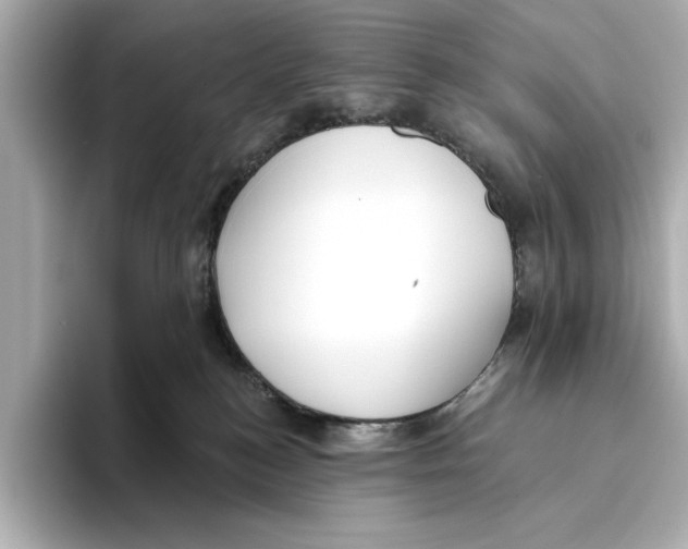 X0000095680184200802051259