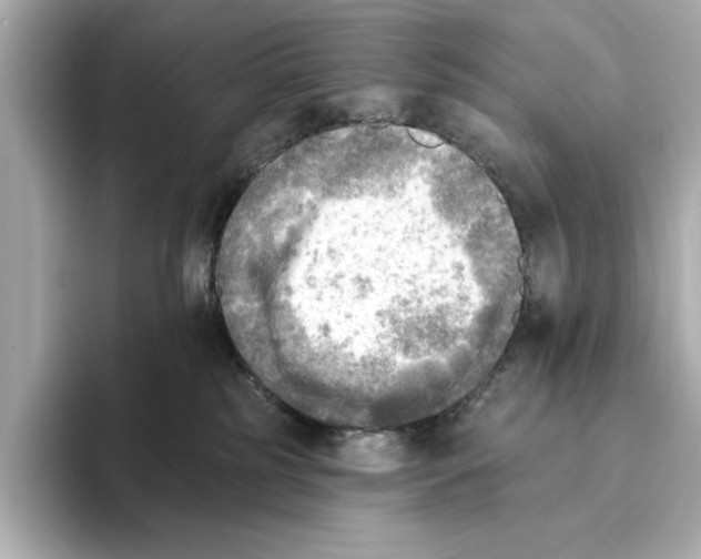 X0000095680185200802051259