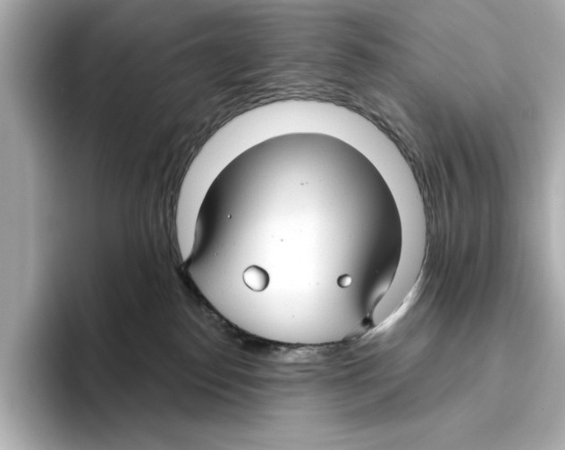 X0000095680186200802051259