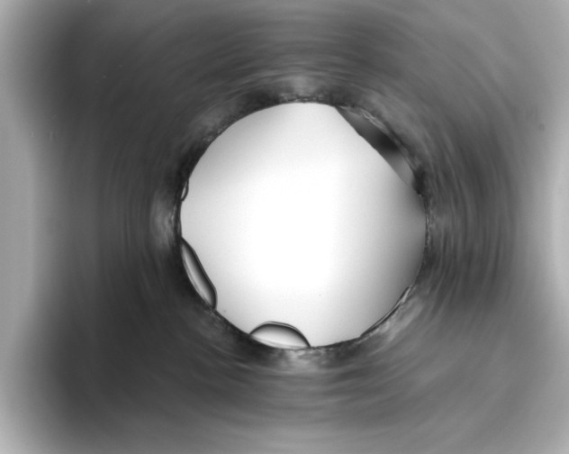 X0000095680188200802051259