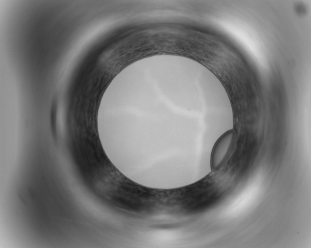 X0000095680189200802051259