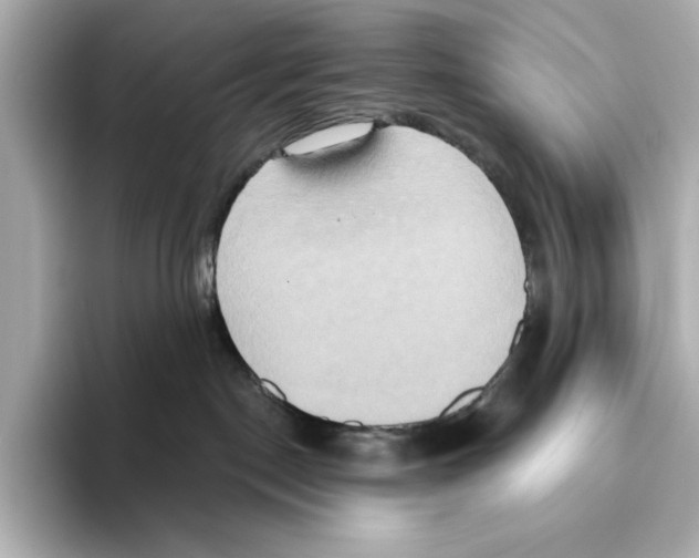 X0000095680190200802051259