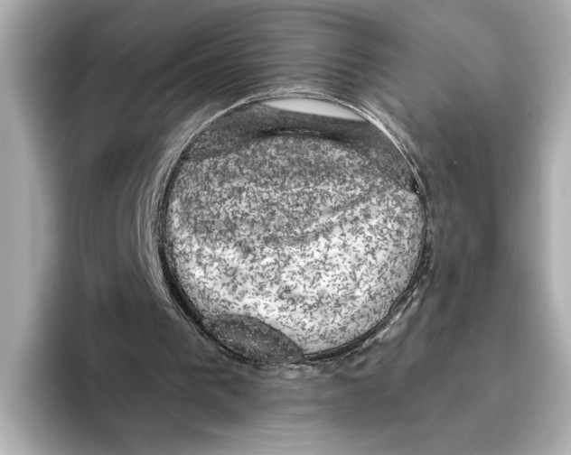 X0000095680193200802051259