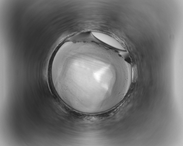 X0000095680195200802051259