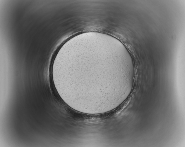 X0000095680196200802051259