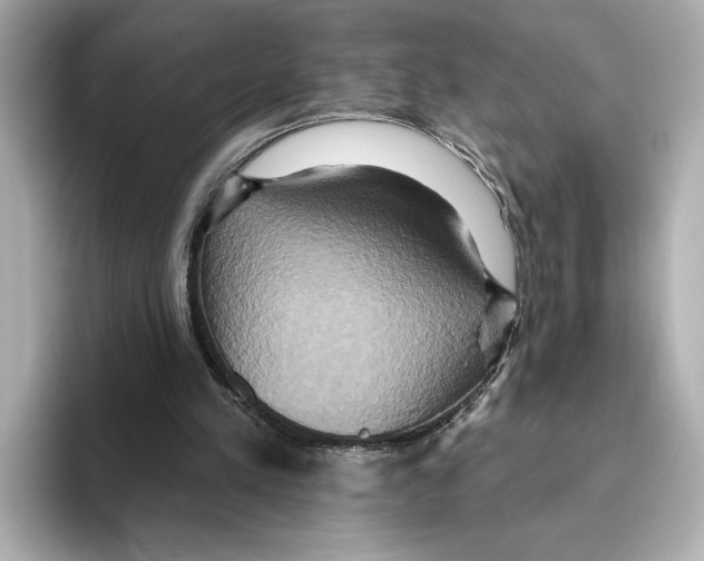 X0000095680197200802051259