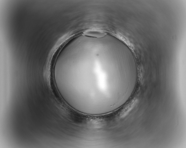 X0000095680199200802051259