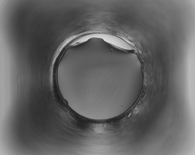 X0000095680200200802051259