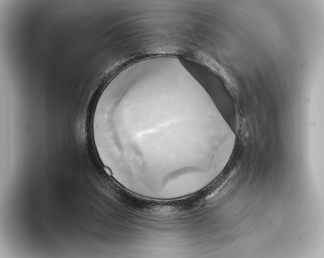 X0000095680203200802051259