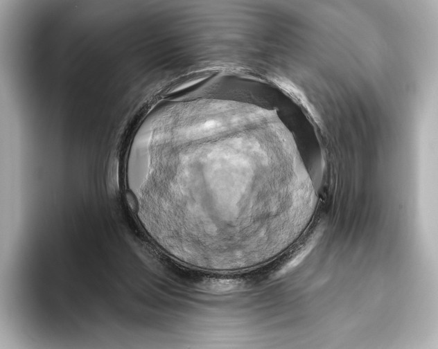 X0000095680205200802051258