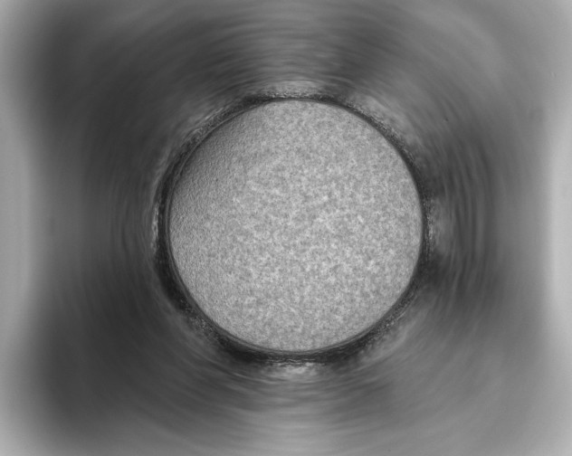 X0000095680206200802051258