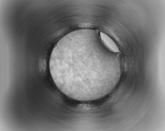 X0000095680211200802051258