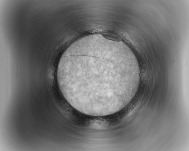 X0000095680215200802051258