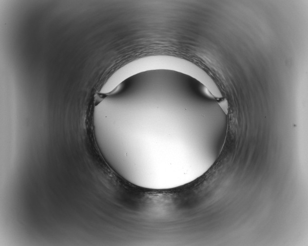 X0000095680221200802051258