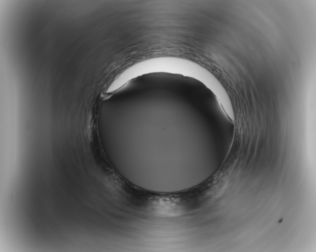 X0000095680223200802051258