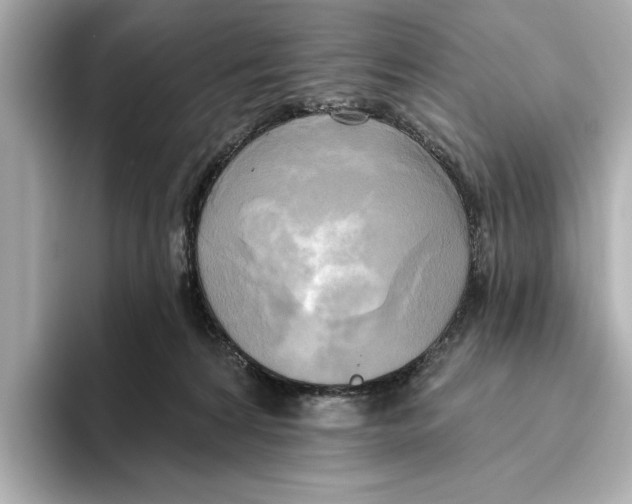 X0000095680224200802051258