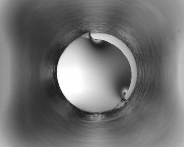 X0000095680225200802051258