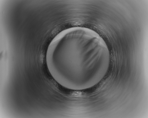 X0000095680227200802051258