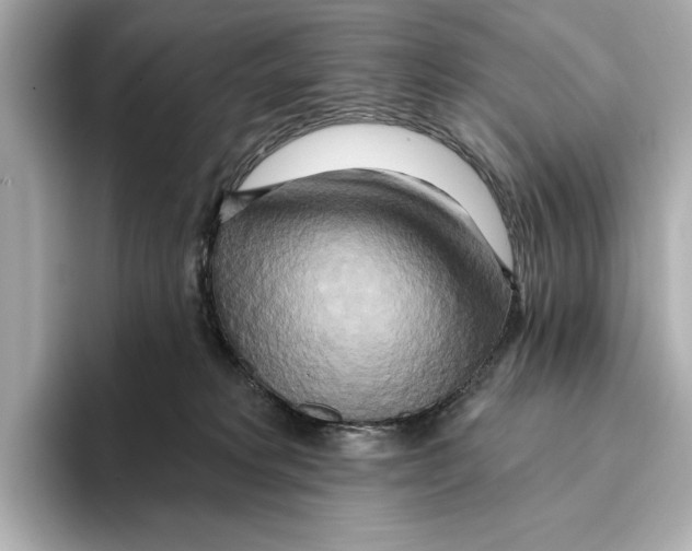 X0000095680229200802051258