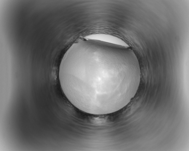 X0000095680232200802051258