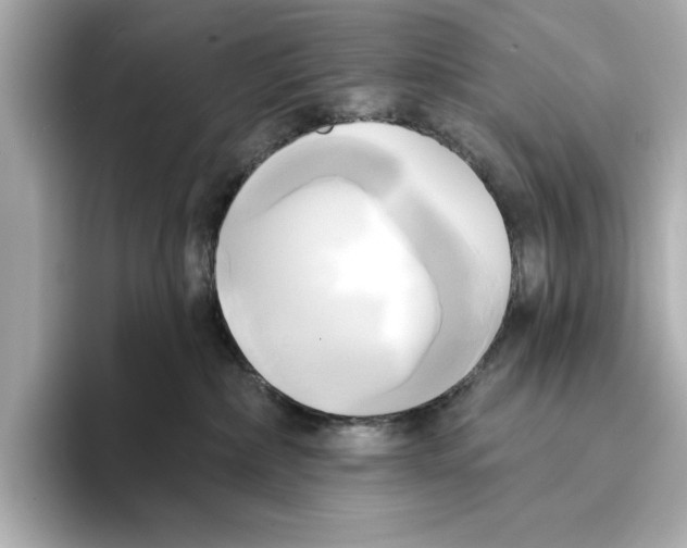 X0000095680236200802051258