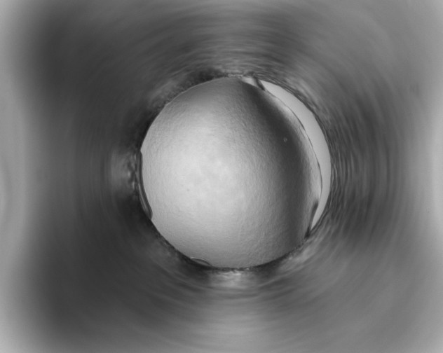 X0000095680237200802051258