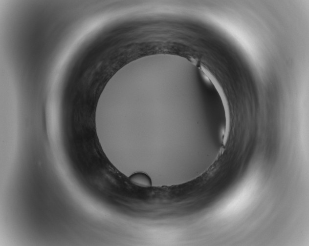 X0000095680239200802051258