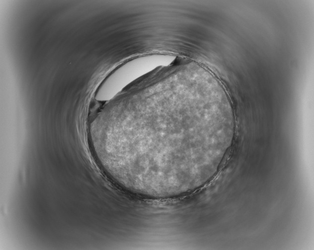 X0000095680241200802051257