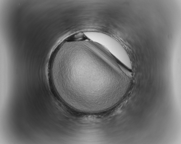 X0000095680244200802051257