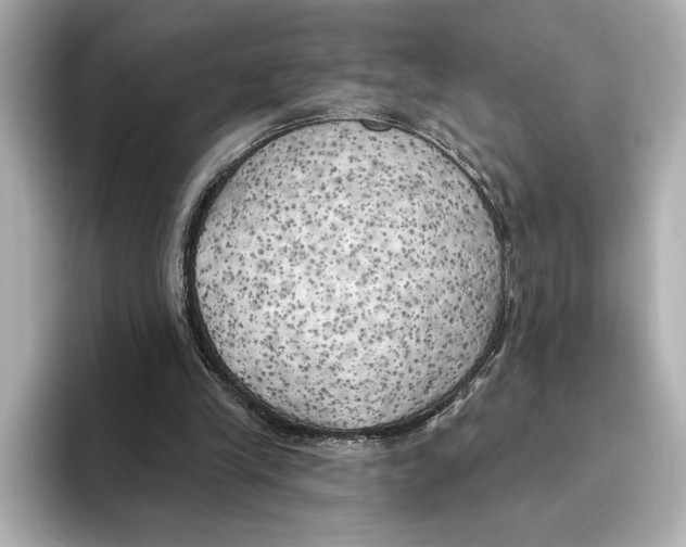 X0000095680245200802051257