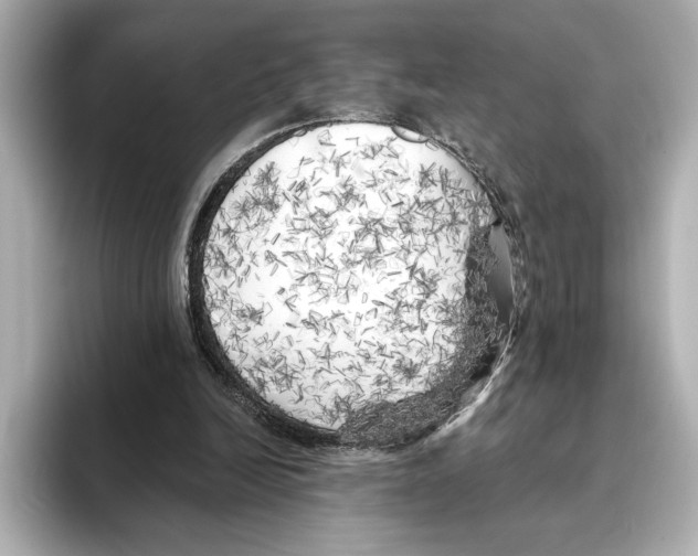 X0000095680246200802051257