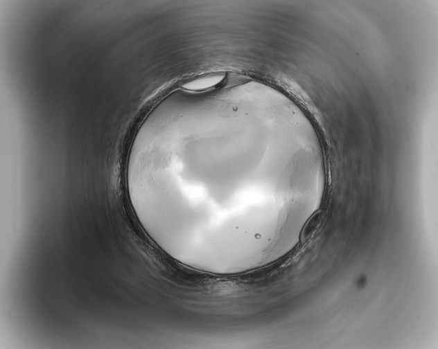 X0000095680249200802051257