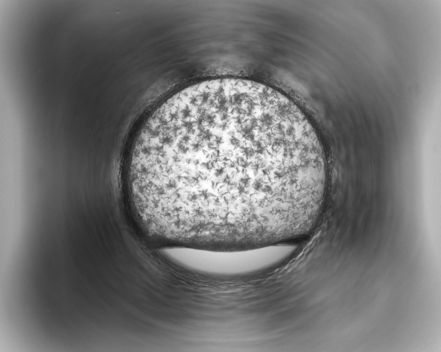 X0000095680250200802051257