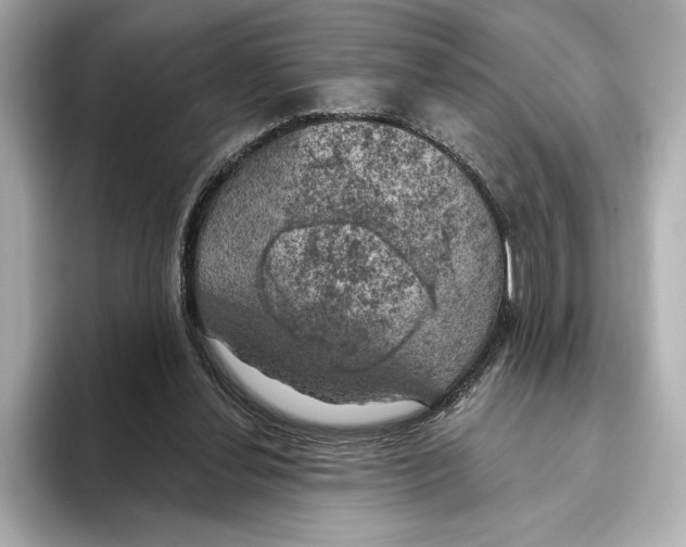 X0000095680252200802051257